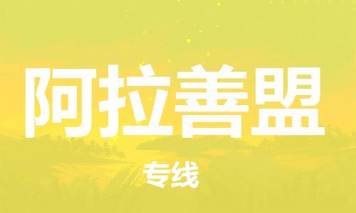 邯鄲到阿拉善盟物流專線-貨運直達-直送各區(qū)域-專業(yè)物流管理服務(wù)